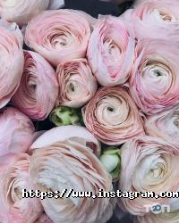 Квіти від Катерини Одеса фото