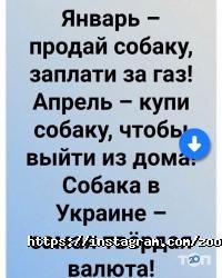 відгуки про Зоомагазин на Донцова фото