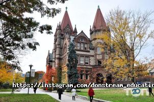 Donstream відгуки фото