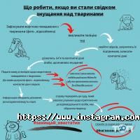 Ветдопомога Львів фото