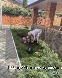 Школа косметології доктора Траут відгуки фото