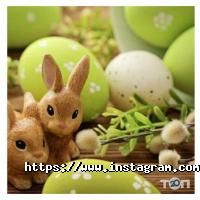 Родичи Киев фото