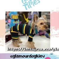 Зоомагазины и услуги для животных Glamour Dog фото