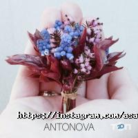 Asant Studio Київ фото