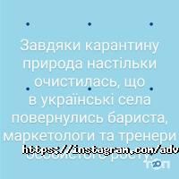відгуки про Донець і партнери адвокатське об'єднання фото