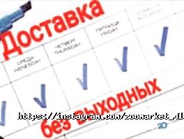 4 лапы Астана фото