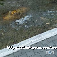 Ассоциация экологических организаций Казахстана Астана фото