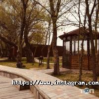 Up Service Одеса фото
