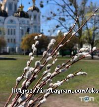 Центр красоты Оксаны Куровой отзывы фото