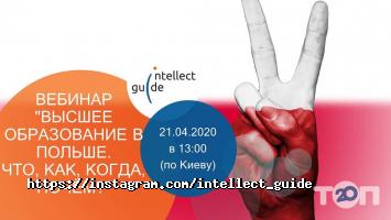 Консалтинговые услуги Intellect guide фото