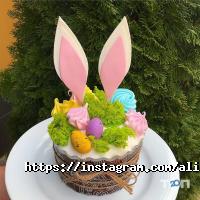 Alibi Харків фото