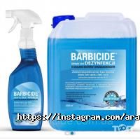 Арабески Дніпро фото