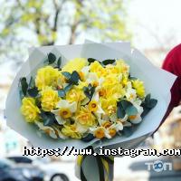 Роза Абрамівна відгуки фото