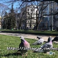 Good night Харків фото