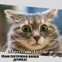 Veliki.ua отзывы фото