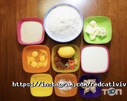 Рудий кіт відгуки фото