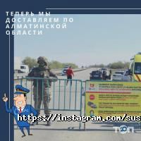 Доставка пиццы, суши и обедов Suship фото