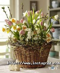 Moda Flora відгуки фото