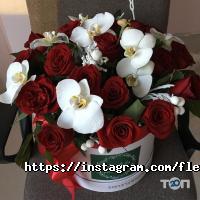 Fleur delis отзывы фото