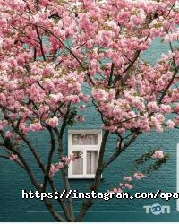 Рішельє, апарт-готель фото