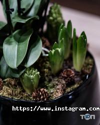 Loft flowers, інтернет-магазин квітів фото