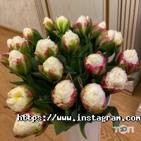 Оптроз, оптова база квітів фото