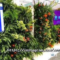 Le Green Дніпро фото
