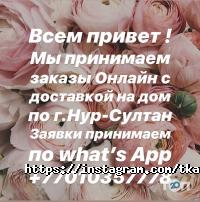Жибек Астана фото