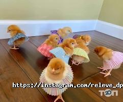 Releve відгуки фото