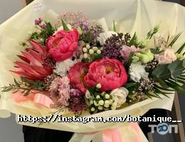 відгуки про Botanique фото