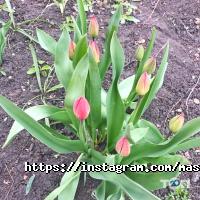 Салони краси Mira фото