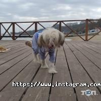 Забудовники, житлові комплекси Вернісаж фото