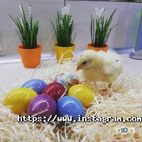 Евгения Инская, ведущая фото