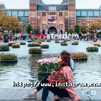 Нико Тур отзывы фото