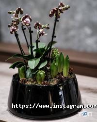 Loft flowers Одеса фото