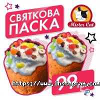 Mister Cat Одеса фото