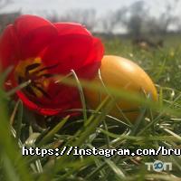 Брускета Київ фото