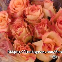 7 троянд, оптово-роздрібний склад квітів фото