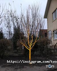 Твій сад Дніпро фото