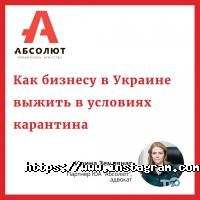Абсолют, юридичне агентство фото
