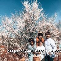 Ведучий Андрій Кушнір відгуки фото