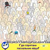 Feelin відгуки фото