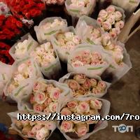 7 троянд відгуки фото