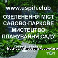 відгуки про Клуб Успіху фото
