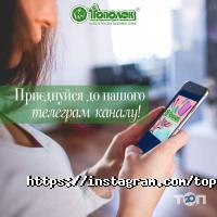 Топольок, магазин канцтоварів фото