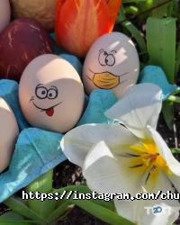 Диво відгуки фото