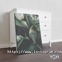 Фото, відео послуги FotoSvit фото