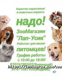 Лап-Усик отзывы фото
