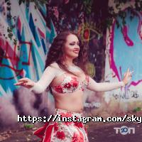 SkyDanceClub Дніпро фото
