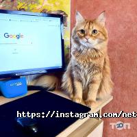 Netpeak.ua компанія Харків фото